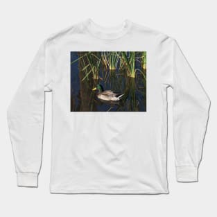 The Duck On The Pond At Papago Park Long Sleeve T-Shirt